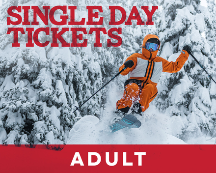 Single Day Ticket - Adult (19-64)
