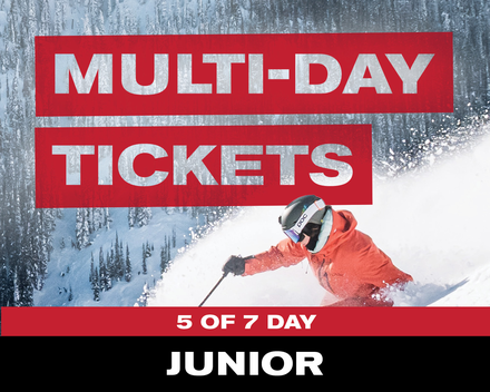 5 of 7 Day Ticket - Junior (7-12)