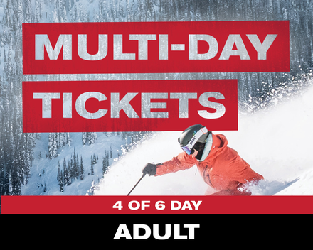 4 of 6 Day Ticket - Adult (19-64)