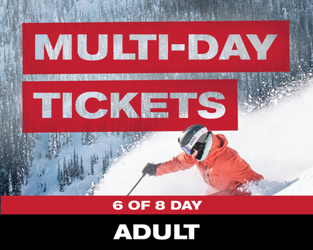 6 of 8 Day Ticket - Adult (19-64)