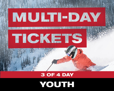 3 of 4 Day Ticket - Youth (13-21)
