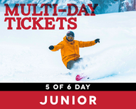 5 of 6 Day Ticket - Junior (7-12)