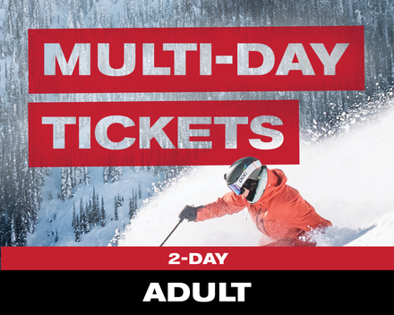 2 Day Ticket - Adult (19-64)