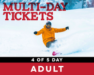 4 of 5 Day Ticket - Adult (19-64)