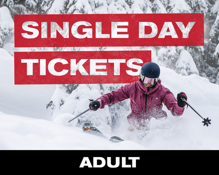 Single Day Ticket - Adult (19-64)