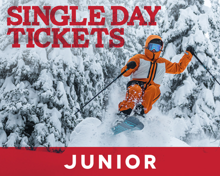 Single Day Ticket - Junior (7-12)