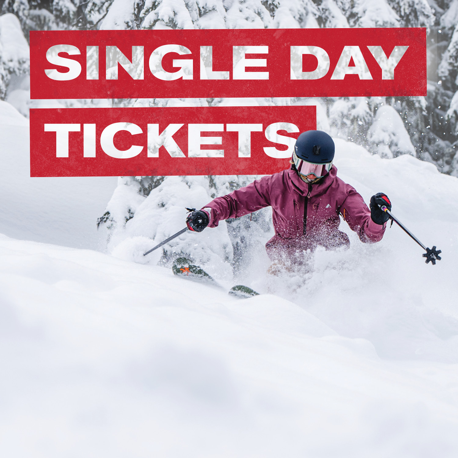 Single Day Tickets