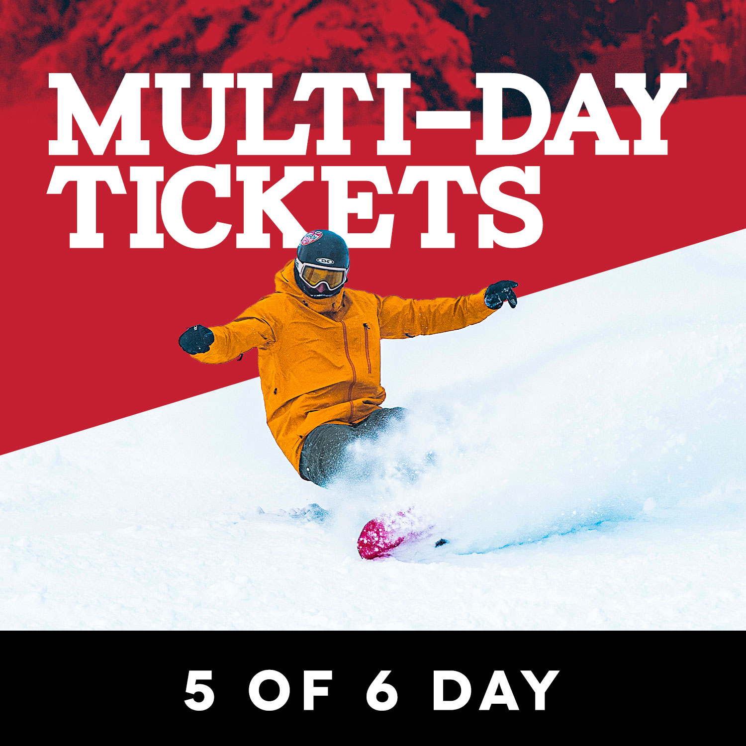 → 5 of 6 Day Ticket