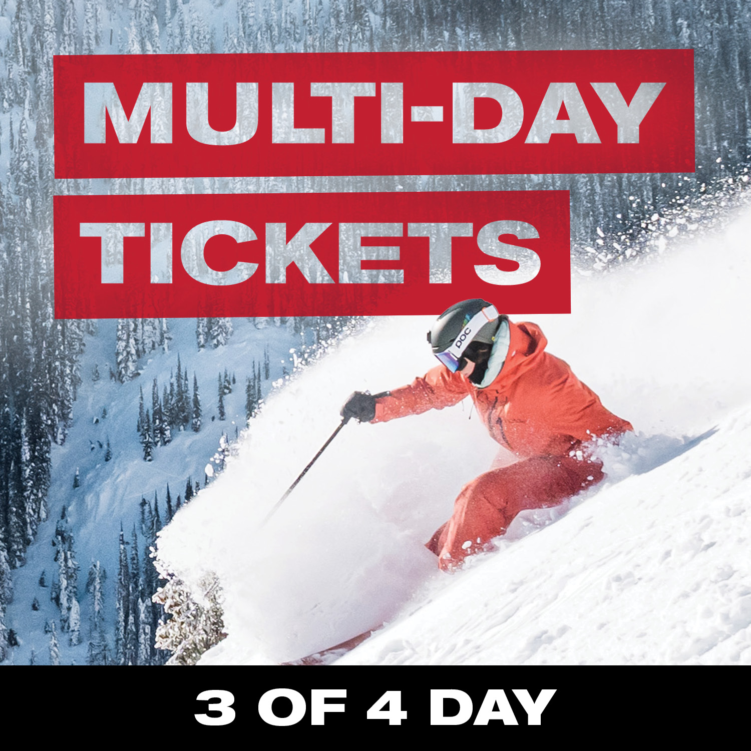 3 of 4 Day Ticket